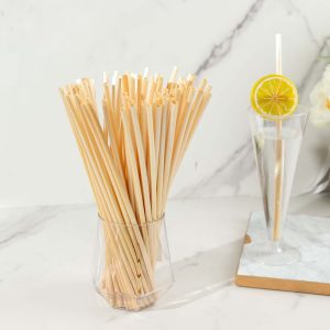 100-Pack Compostable Straws 9" Plant Based 100% Plastic Free - Eco