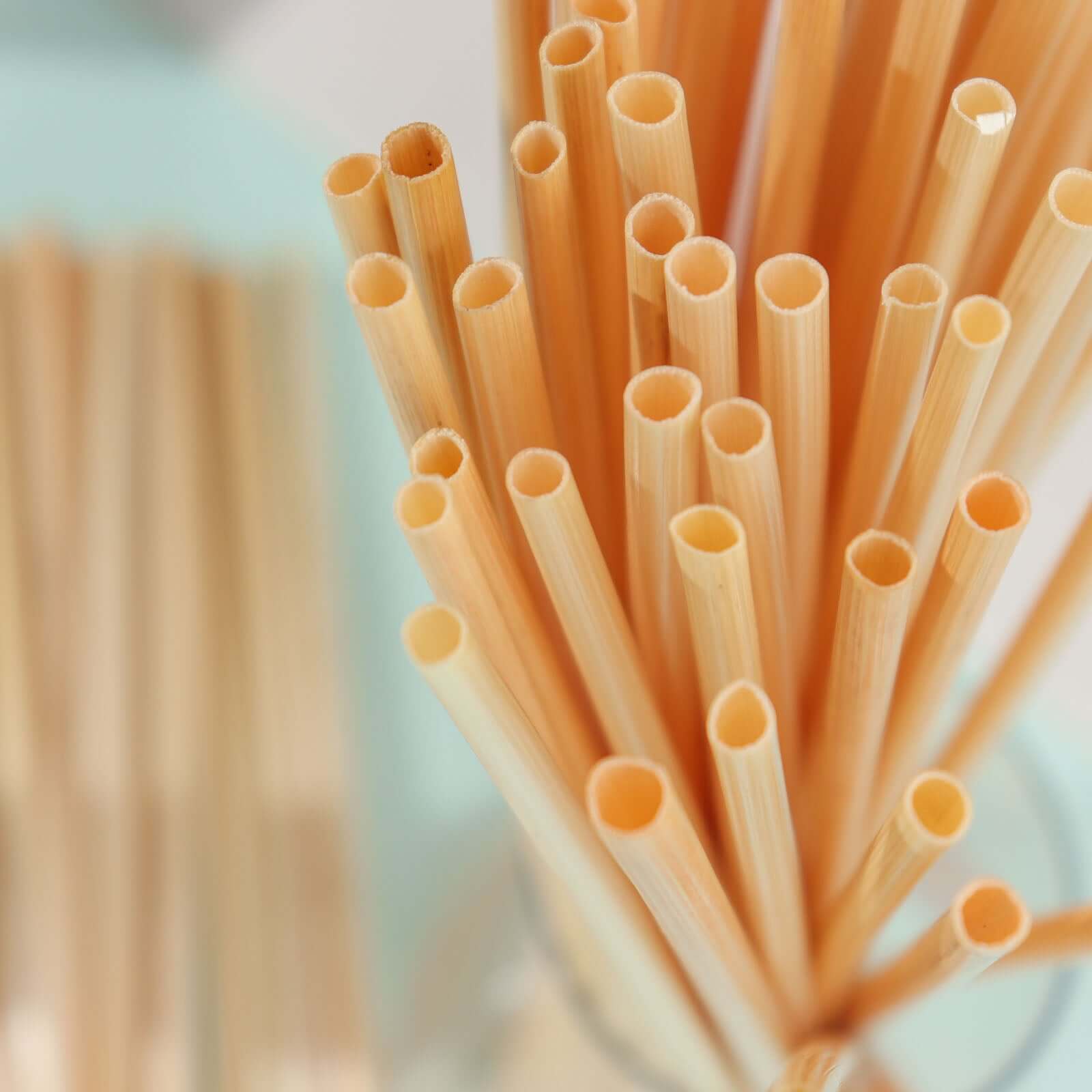 100-Pack Compostable Straws 9" Plant Based 100% Plastic Free - Eco - Image 2